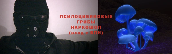 дмт Арсеньев
